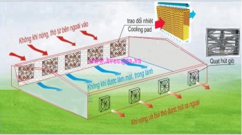 Hệ thống làm mát nhà xưởng bằng tấm Cooling Pad