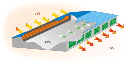 Hệ Thống Làm Mát Nhà Xưởng Bằng Tấm Cooling Pad